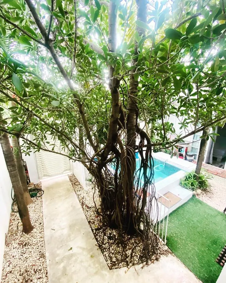 Cozy And Nice Two Bedrooms Acasadialexplayadelcarmen Playa del Carmen Apartment