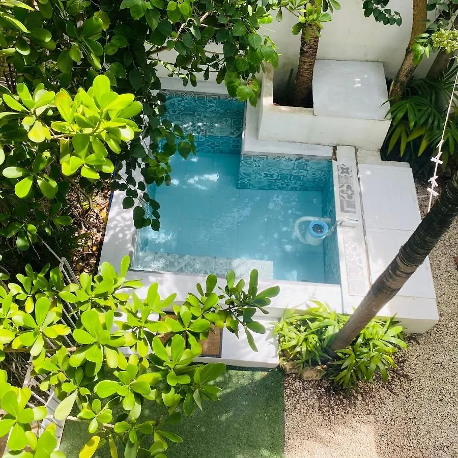Cozy And Nice Two Bedrooms Acasadialexplayadelcarmen Playa del Carmen 0*,